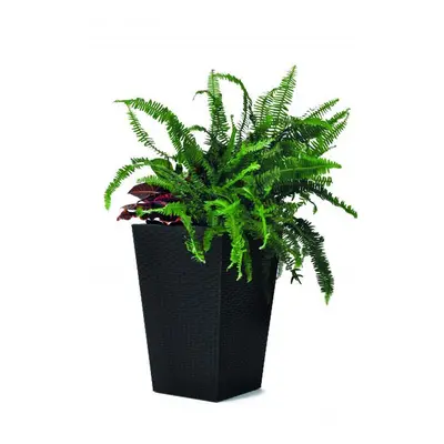 Keter Květináč Rattan planter S