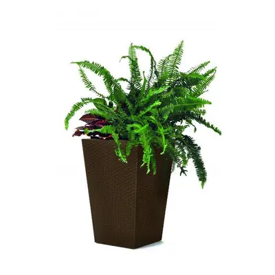 Keter Rattan planter M – hnědá