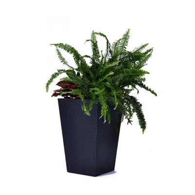 Keter Květináč Rattan planter M