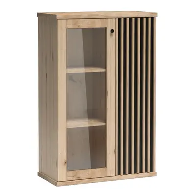 Casarredo Vitrína 2D BARBUS dub artisan/černá