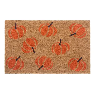 Hanse Home Hanse Home rohožka Mix Mats 105677 Cocos 45x75 cm