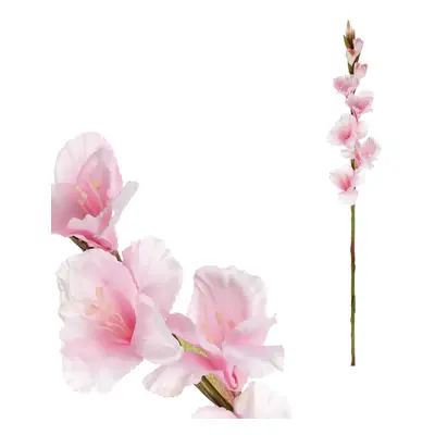 Autronic Gladiola světle růžová KT7300 PINK2