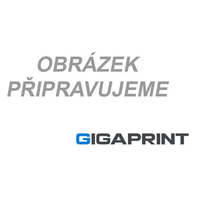 Kompatibilní Epson T0870 - Gloss Optmizer náplň Gigaprint – Cetria s.r.o.