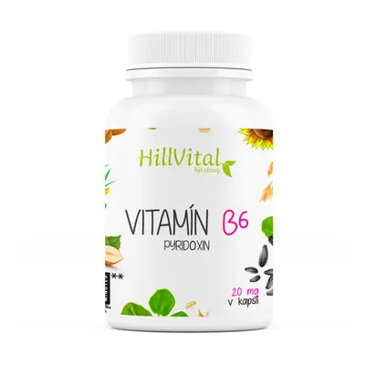 HillVital Vitamín B6 100 kapslí