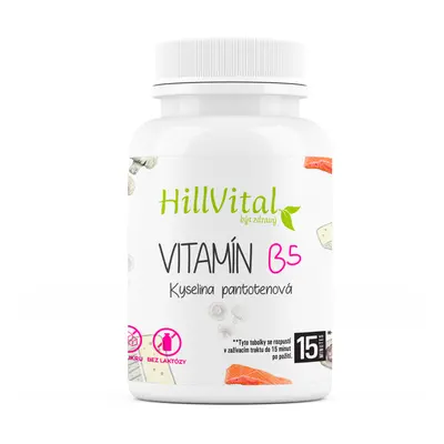 HillVital Vitamín B5 100 kapslí