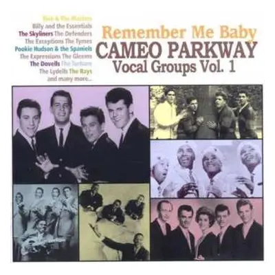 CD Various: Remember Me Baby - Cameo Parkway Vocal Groups Vol 1.