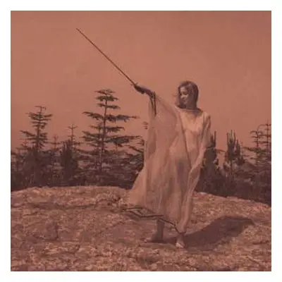 CD Unknown Mortal Orchestra: II