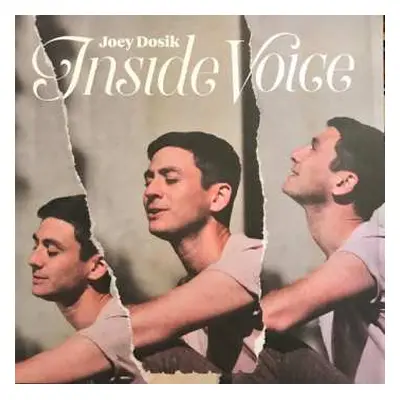 LP Joey Dosik: Inside Voice