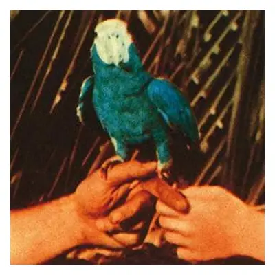 CD Andrew Bird: Are You Serious