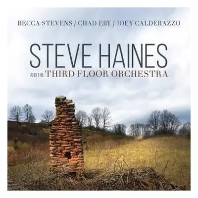 CD Steve Haines And The Third Floor Orchestra: Steve Haines And The Third Floor Orchestra (feat.