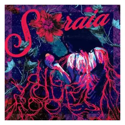 CD Soraia: Dig Your Roots