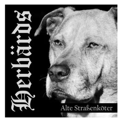 LP Herbärds: Alte Strassenköter(ltd.gtf. Yellow/black Lp)