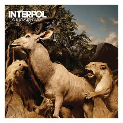 2LP Interpol: Our Love To Admire LTD | CLR