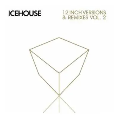 2CD Icehouse: 12 Inch Versions & Remixes Vol. 2