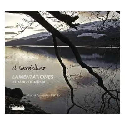 CD Il Gardellino: Lamentationes