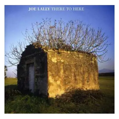 CD Joe Lally: There To Here