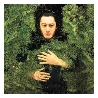 LP Alain Bashung: Fantaisie Militaire