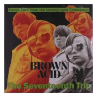 LP Various: Brown Acid: The 17th Trip