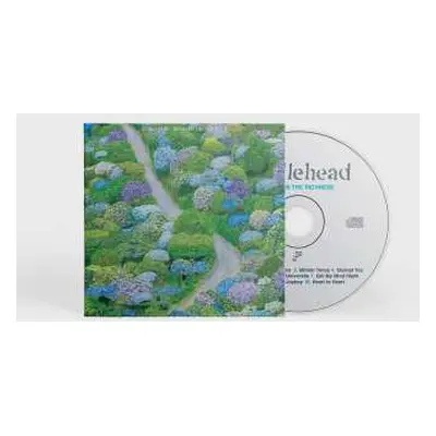 CD Fiddlehead: Between the Richness