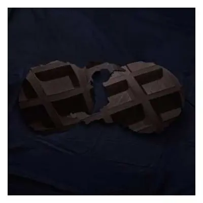 2LP Dirty Projectors: Dirty Projectors