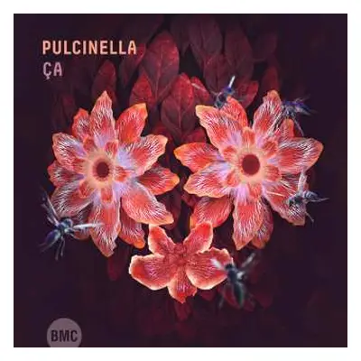 CD Pulcinella: Ça