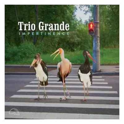 CD Trio Grande: Impertinence