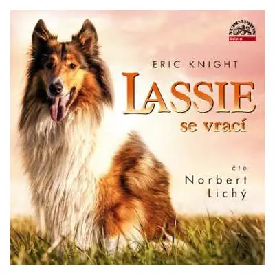 CD Norbert Lichý: Knight: Lassie se vrací