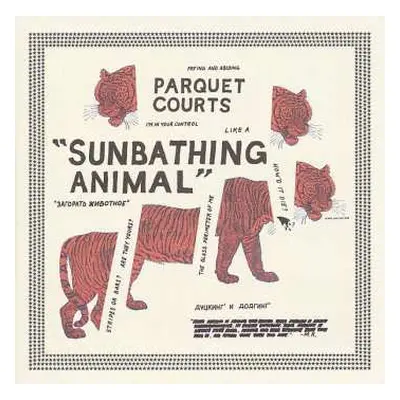 CD Parquet Courts: Sunbathing Animal