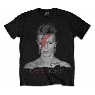 Tričko Aladdin Sane M