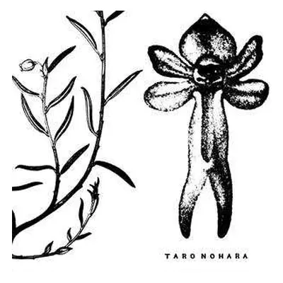 LP Taro Nohara: Poly​-​Time Soundscapes / Forest Of The Shrine