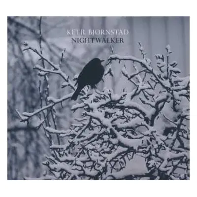 2CD Ketil Bjørnstad: Nightwalker