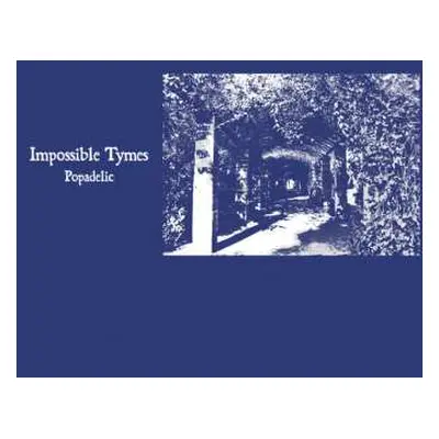 LP Impossible Tymes: Popadelic