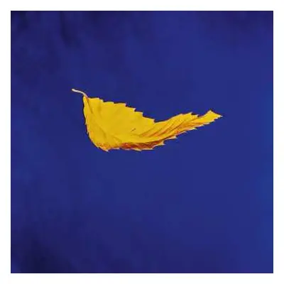 LP New Order: True Faith