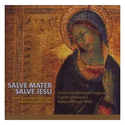 CD Various: Salve Mater Salve Jesu