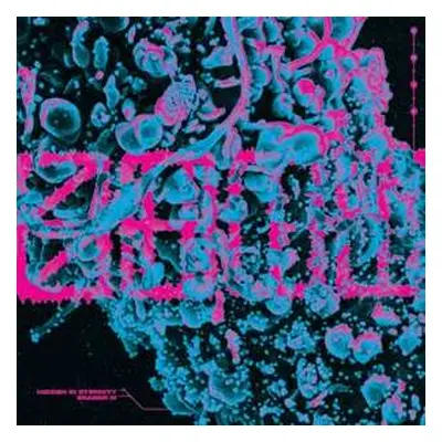 LP S.h.i.t.: 7 - Hidden In Eternity / Eraser Iii