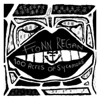 LP Fionn Regan: 100 Acres Of Sycamore LTD