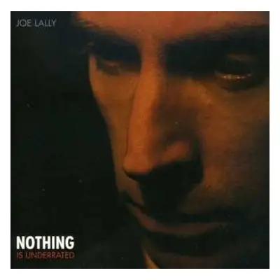 CD Joe Lally: Nothing Is Underrated