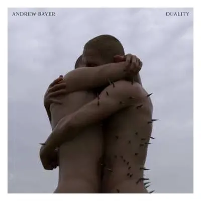 3LP Andrew Bayer: Duality