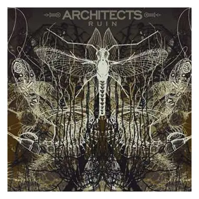 LP Architects: Ruin