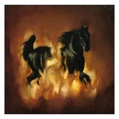 CD The Besnard Lakes: The Besnard Lakes Are The Dark Horse