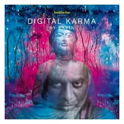 CD Ravin: Digital Karma