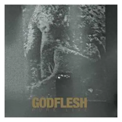 2LP Godflesh: Pure : Live LTD | CLR