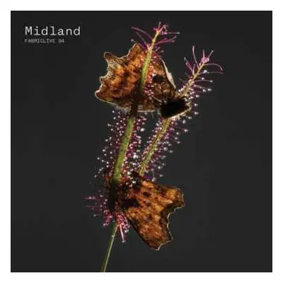 CD Midland: Fabriclive 94