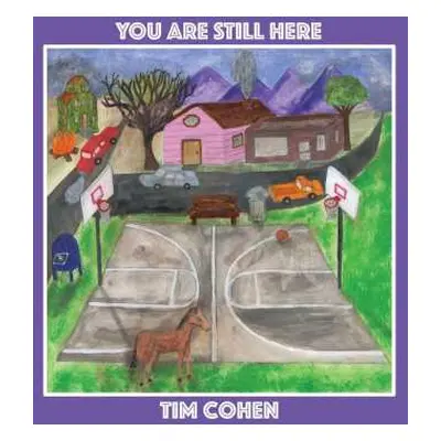 LP Tim Cohen: You Are Still Here