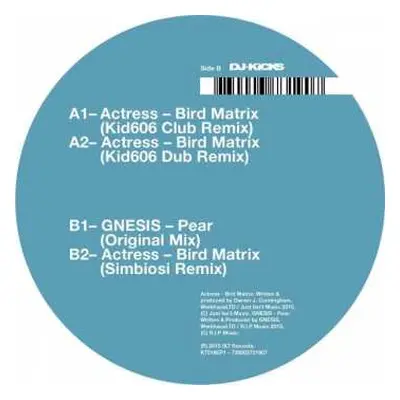 LP Actress: Bird Matrix (Remixes)