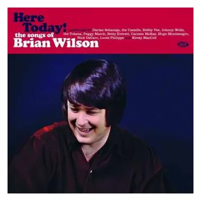 LP Various: Here Today! (The Songs of Brian Wilson) CLR