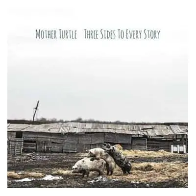 LP Mother Turtle: Three Sides To Every Story LTD | CLR