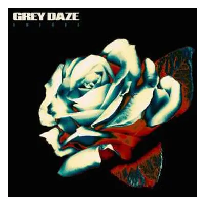 LP Grey Daze: Amends