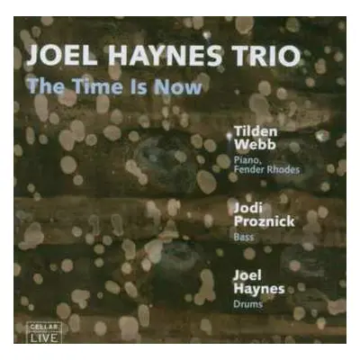 CD Joel Haynes Trio: The Time Is Now