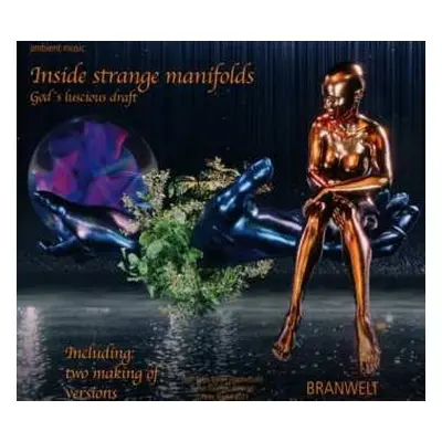 3CD Branwelt: Inside Strange Manifolds